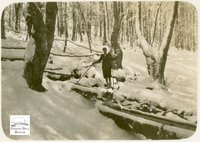 Téli erdő, forrás, mellette egy turista alakja túrabotokkal. Dr. Dornyay Béla gyűjteményéből.